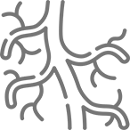 icone2-heart-angiologia-idcbrasilia