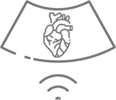 icone2-heart-ecocardiograma-idcbrasilia
